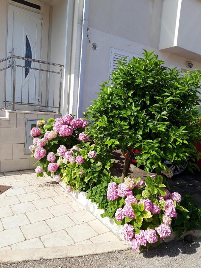 Apartments Pojko دوبروفينك المظهر الخارجي الصورة